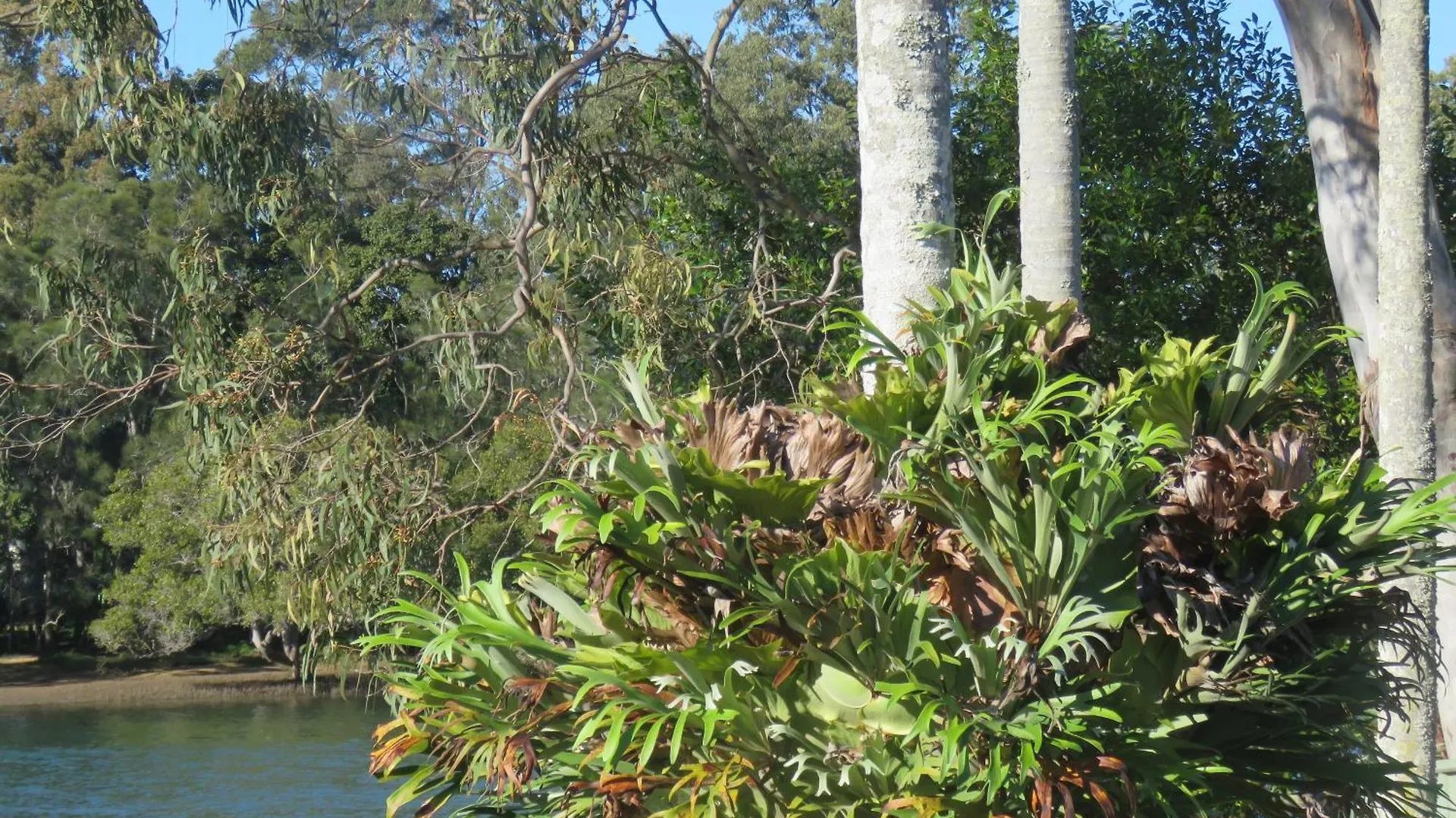 Holiday home Waterfront House In Currumbin Gold Coast
