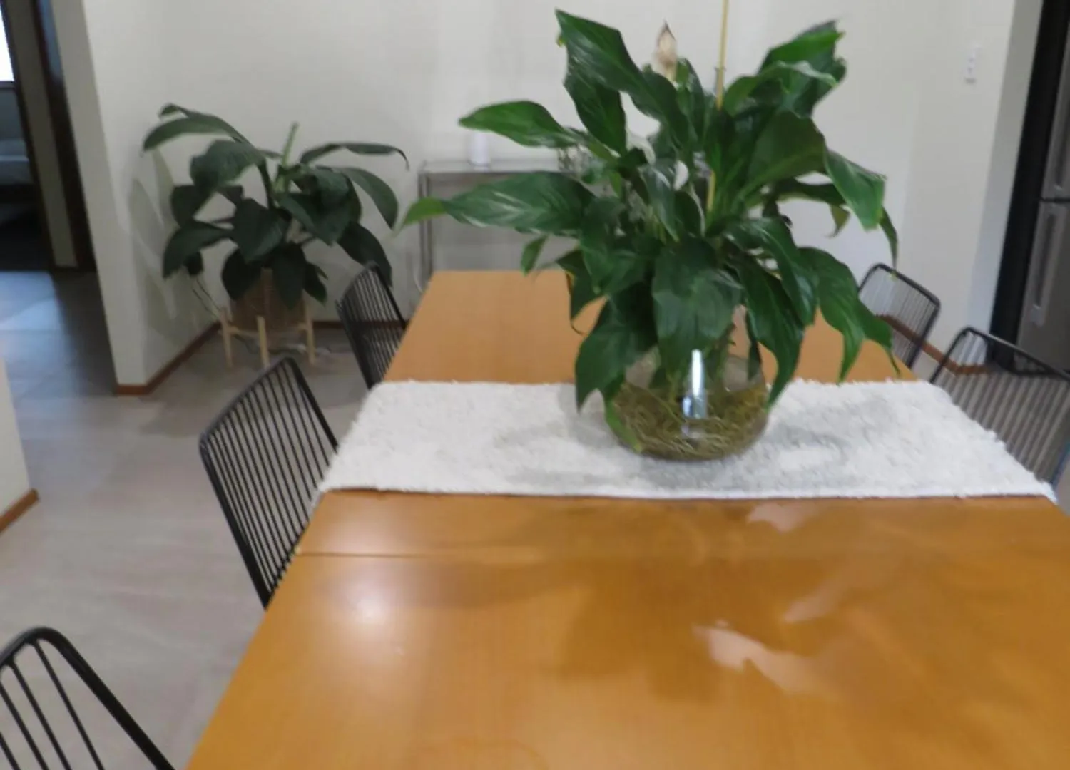 Holiday home Waterfront House In Currumbin Gold Coast
